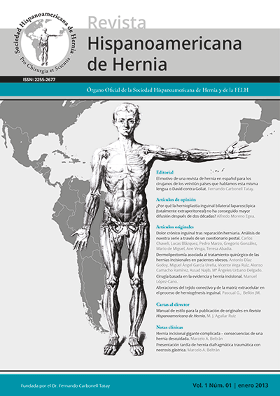 Portada Revista Hispanoamericana de Hernia
